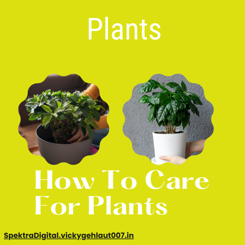 green modern plant tips instagram post